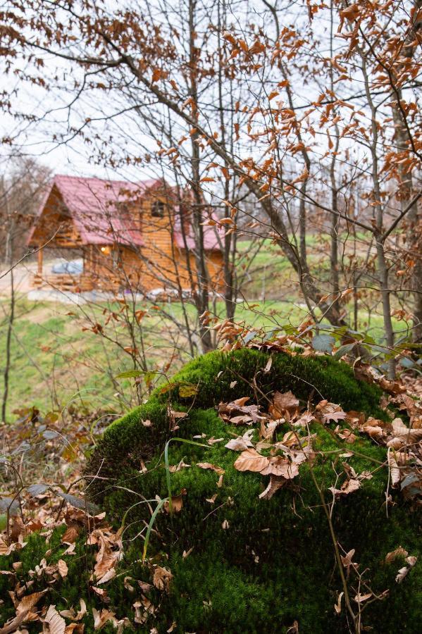 Brvnaria Villa Slatina Varoš Eksteriør billede